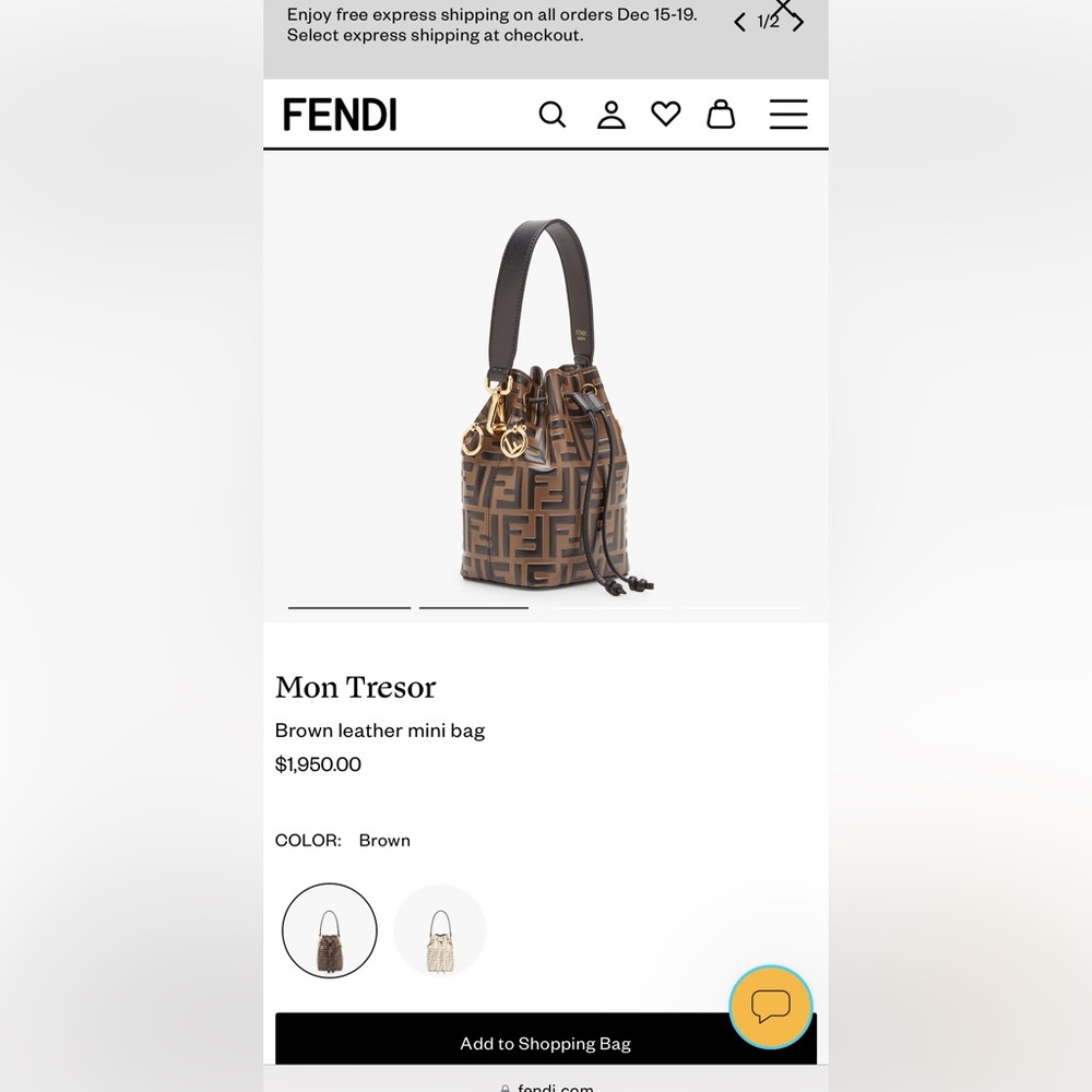 Fendi Crossbody Bag . Available To Ship Now. AUTHENTIC